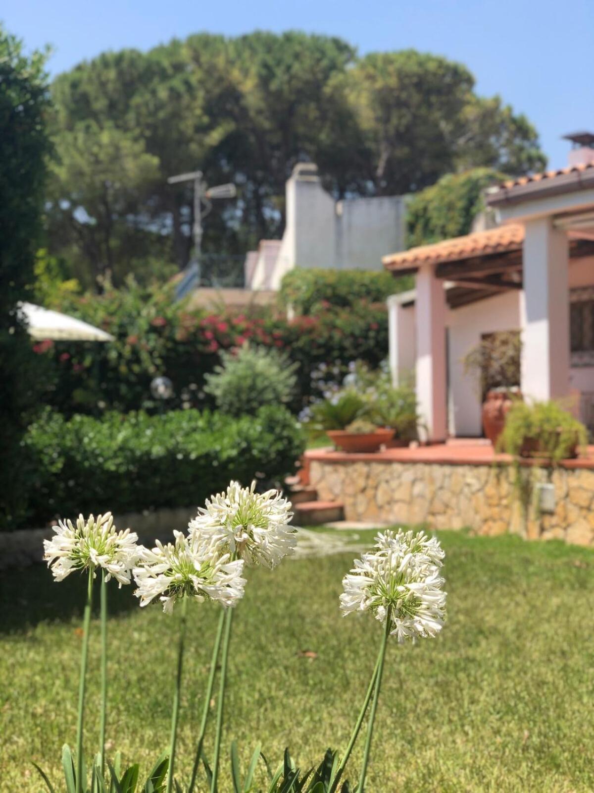 Le Tre Palme Villa Fontane Bianche Exterior photo